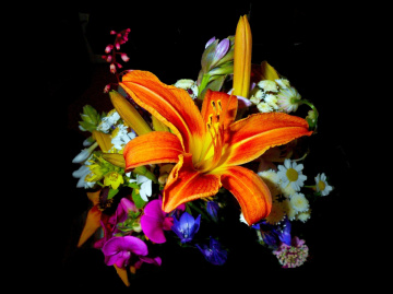 BLUMEN