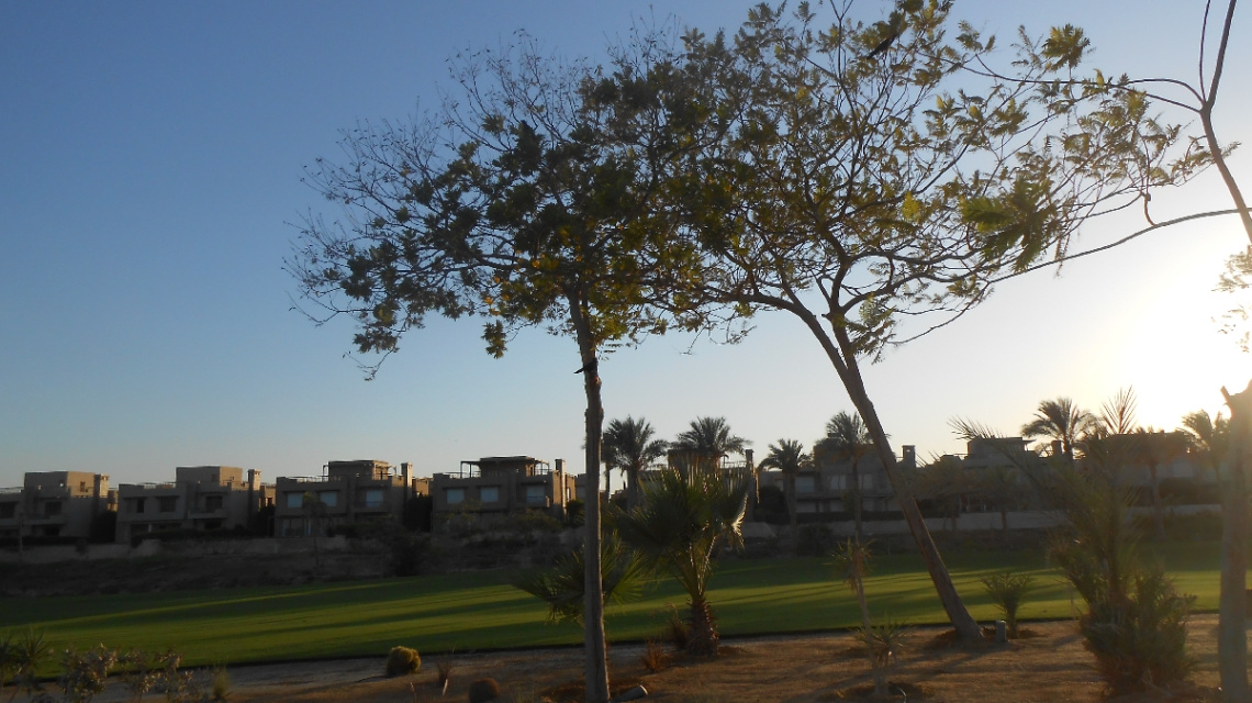 Egypt  - Alain alsokhna