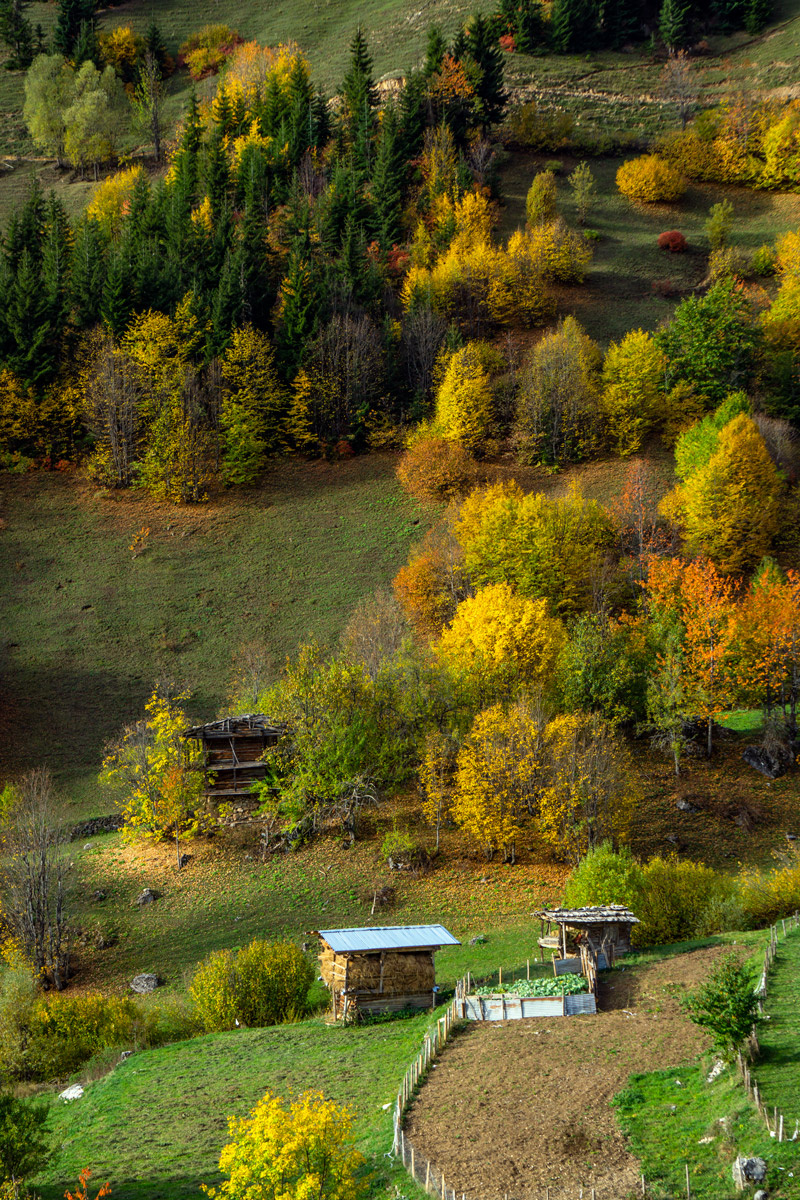 Şavşat Ekim 2019.