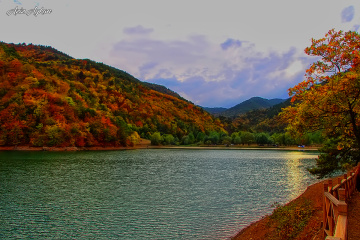 Borabay Gölün'de Sonbahar / Amasya