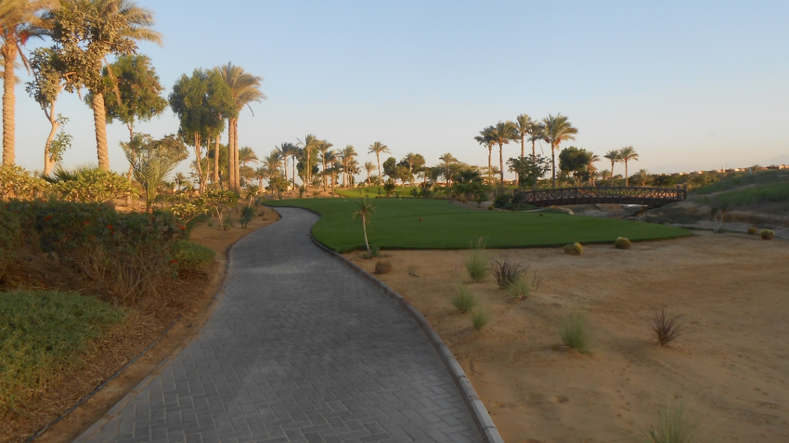 Egypt  - Alain alsokhna