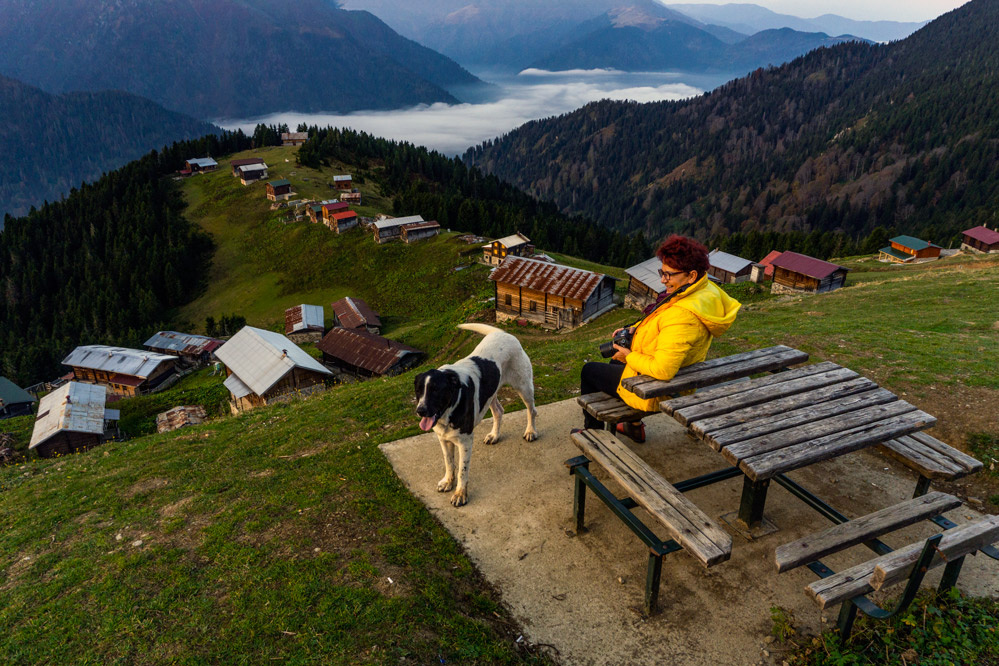 Pokut. Ekim 2019
