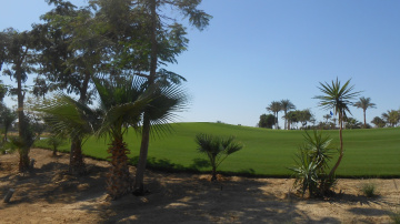 Egypt  - Alain alsokhna