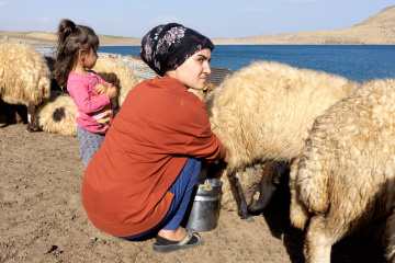 Tatvan-Ekim 2019