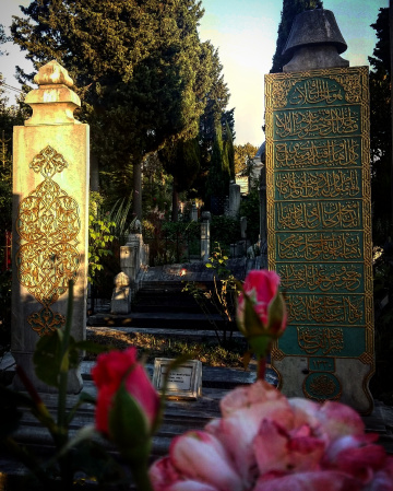 Dünya