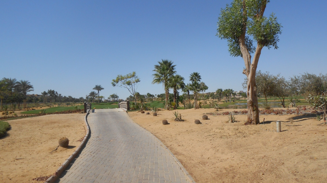 Egypt  - Alain alsokhna