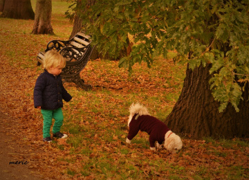 doga