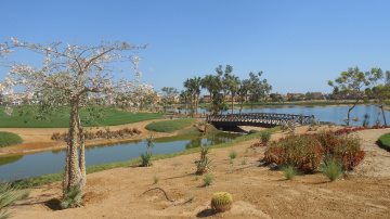 Egypt  - Alain alsokhna