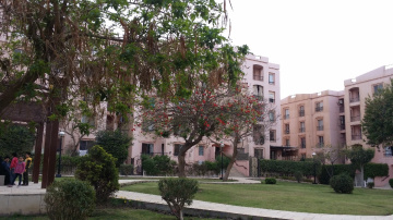 Egypt  - Cairo