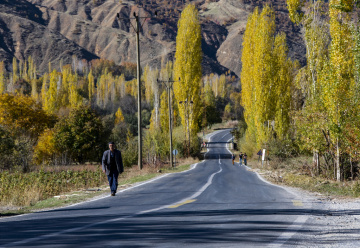 yol