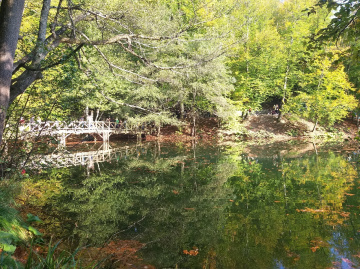 Yedigöller/Masal diyarı 
