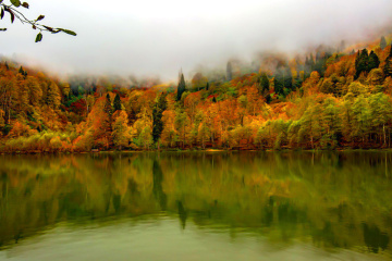 Karagöl/BORÇKA.