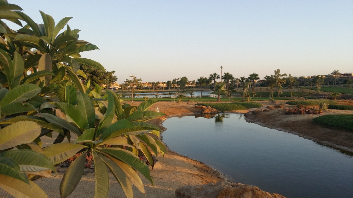 Egypt  - Alain alsokhna