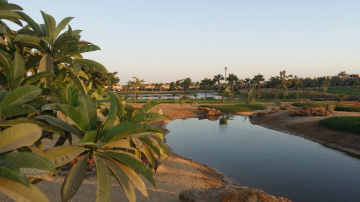 Egypt  - Alain alsokhna