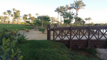 Egypt  - Alain alsokhna - early morning