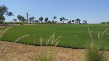 Egypt  - Alain alsokhna