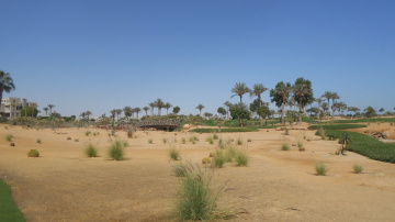 Egypt  - Alain alsokhna