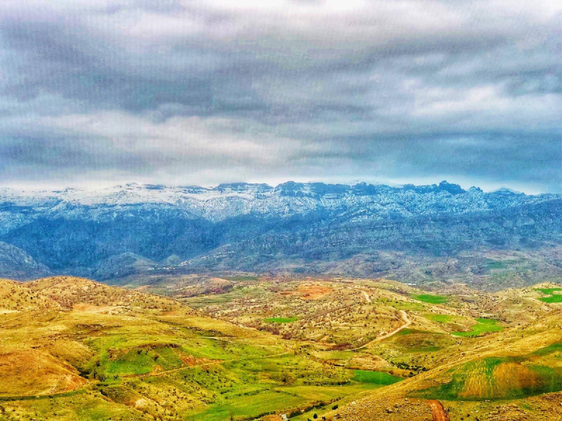 Köy