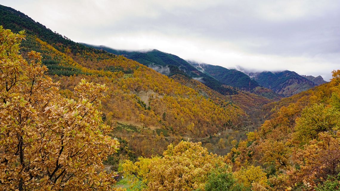 Altındere / Denizli
