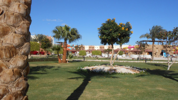 Egypt  - Hurghada