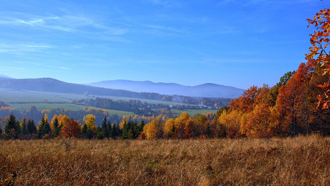 Autumn