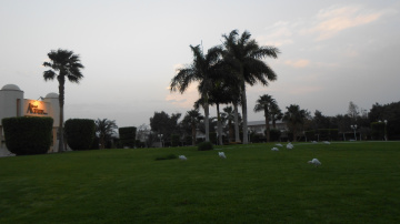 Egypt - Hurghada