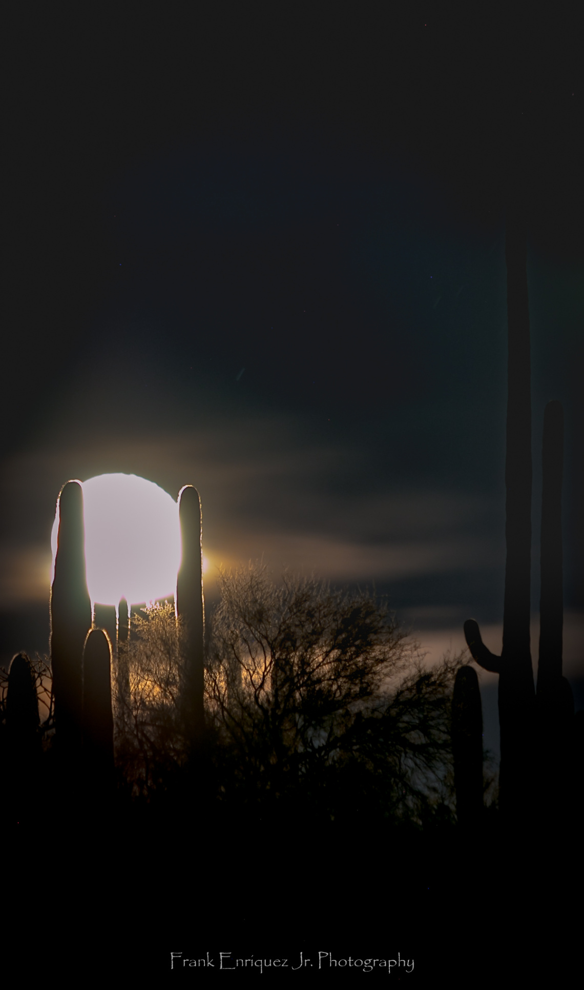 Sonoran Desert Winter Full Moon