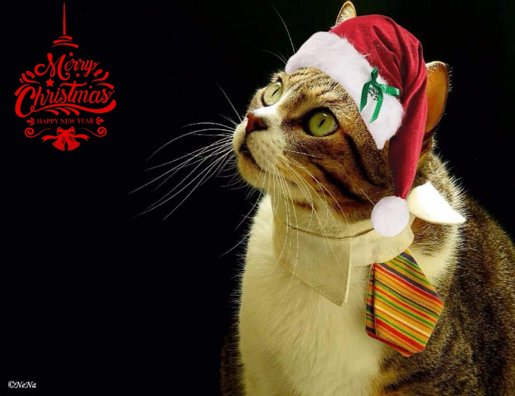 Herkese mutlu noeller