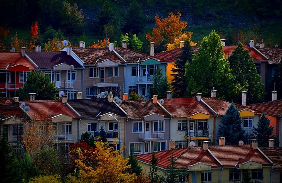 YAŞAM