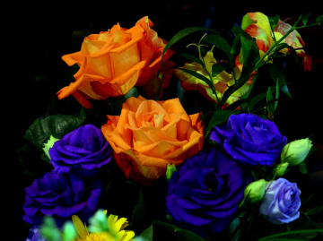 BLUMEN