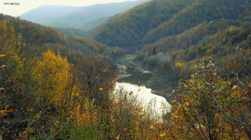 DOĞA 