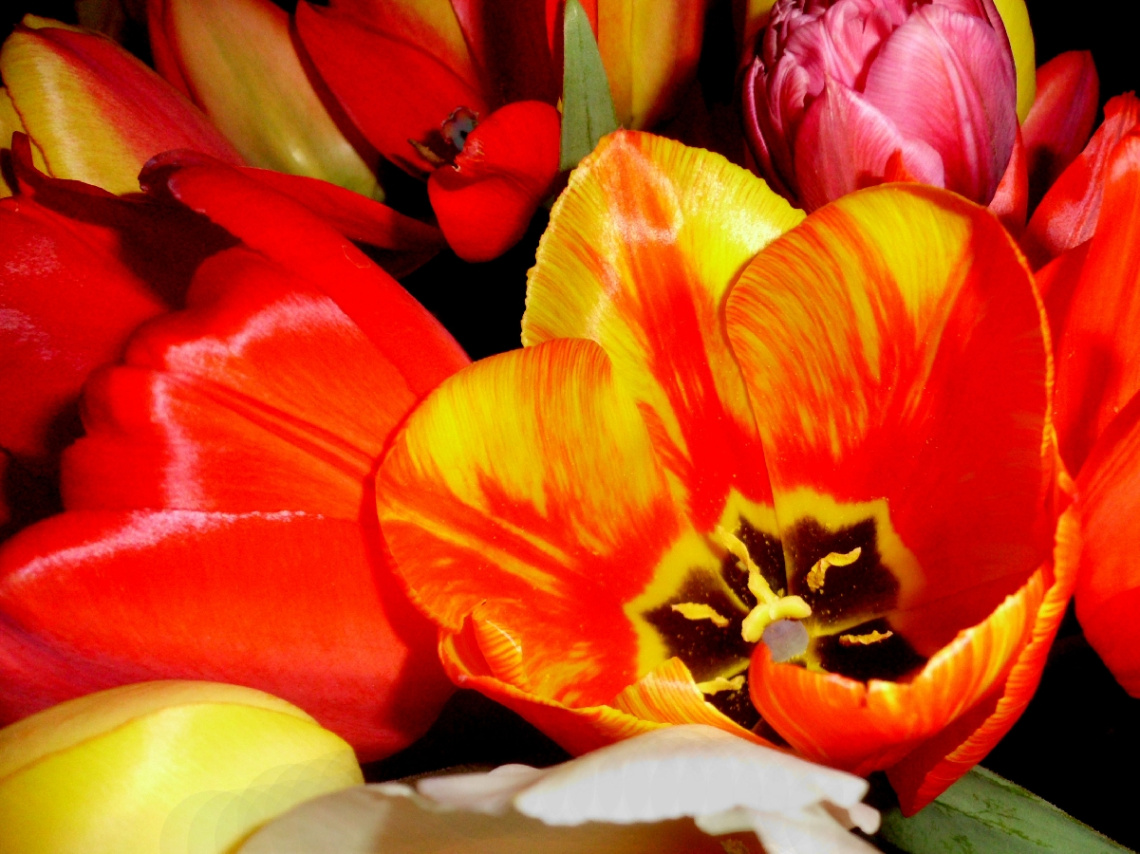 BLÜTEN