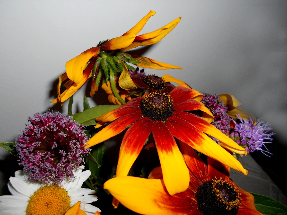 BLÜTEN