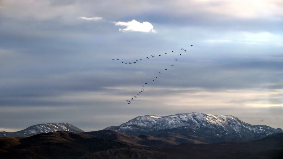 Dağlar-3