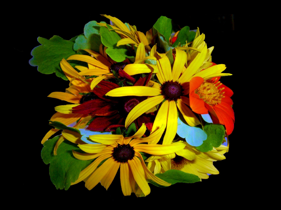 BLÜTEN