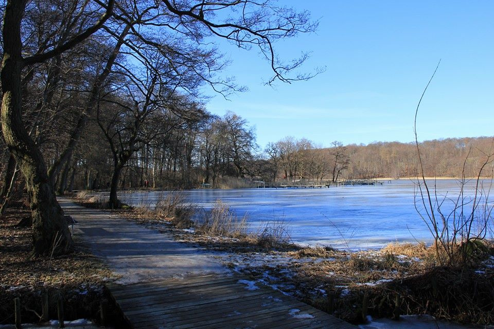 Winter Moment