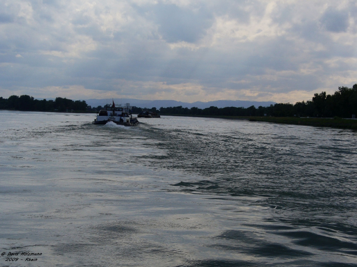 on the Rhine