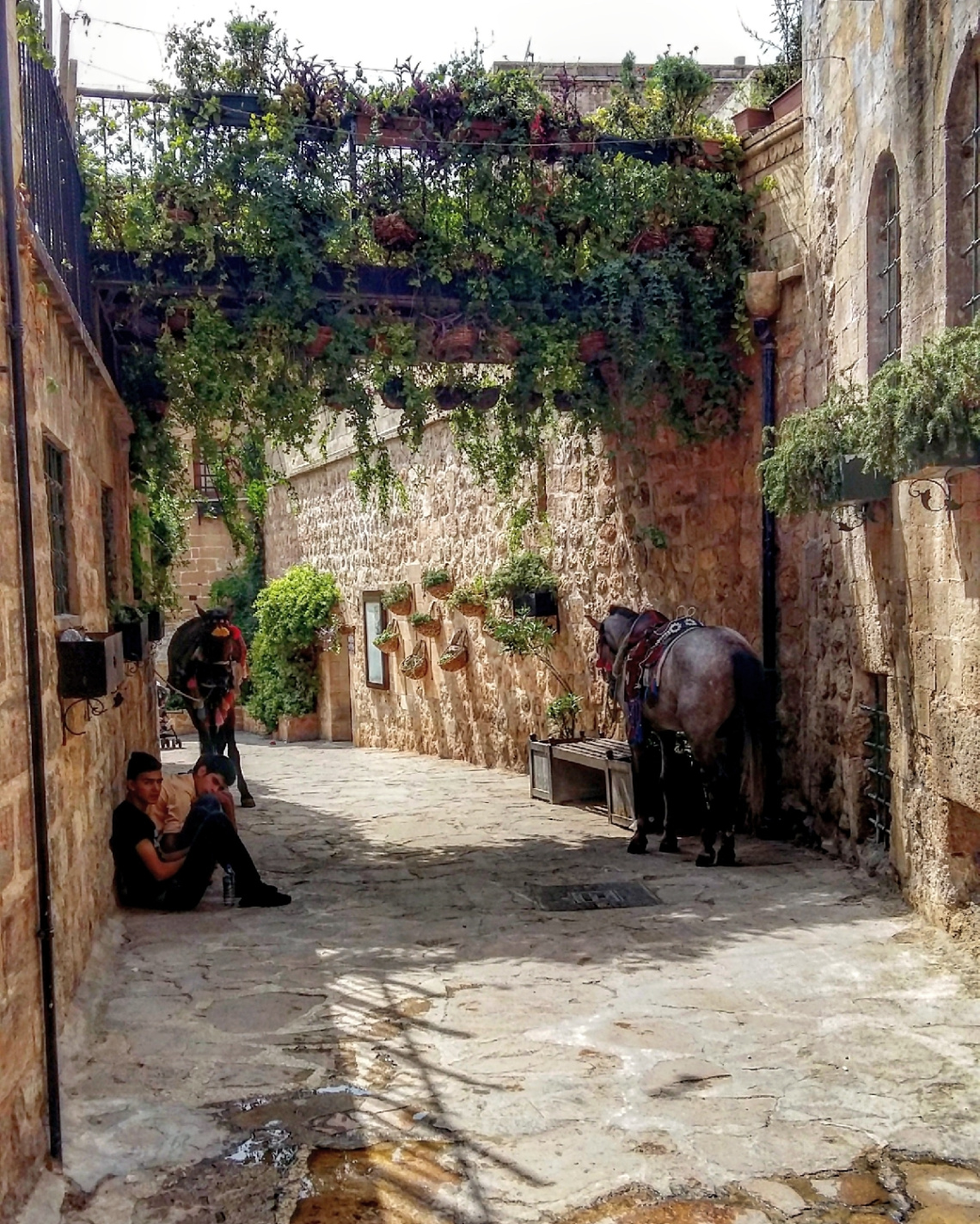 Şehir ve İnsan 