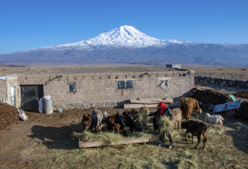 Ağrı Dağı