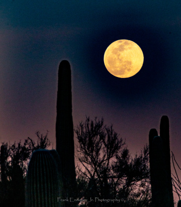 February 2020 Super Snow Moon From Tucson Arizona