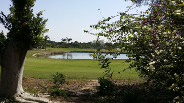 Egypt   - Giza  -  Dreamland