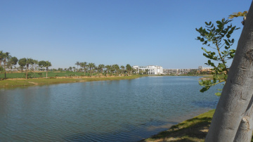 Egypt  - Alain alsokhna