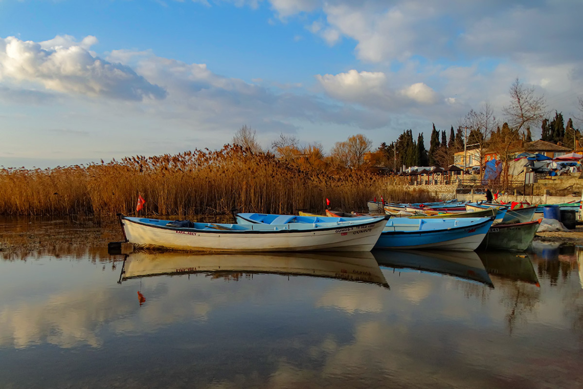 Gölyazı