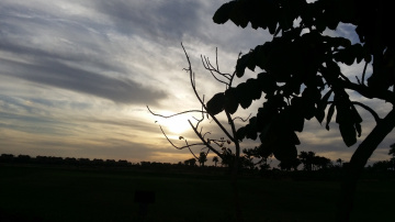 Egypt   - sunset