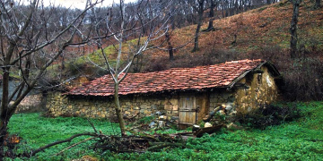 Sonbahar