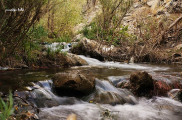 Miniciks Hayatlar  Mini Şelale 