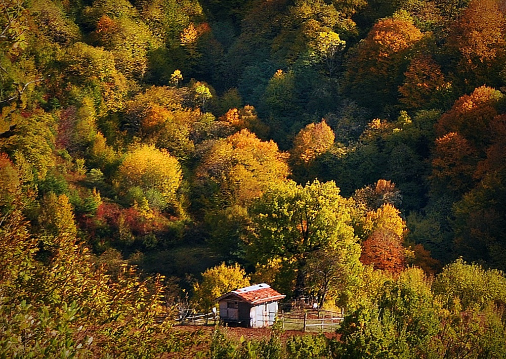 KÜRE DAĞLARI