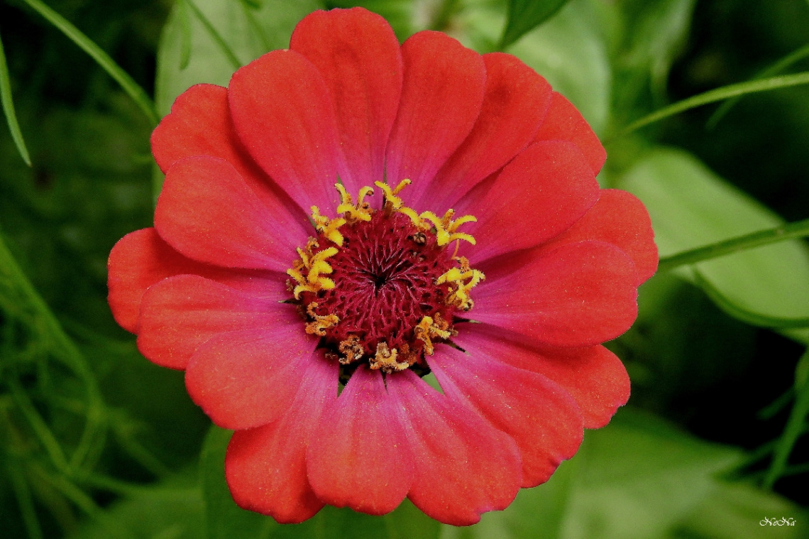 Happy International Women's Day