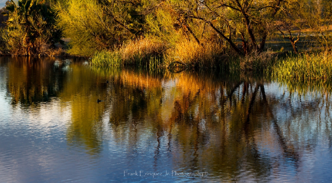 Early Spring Late Fall Colors