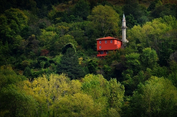 CAMİ
